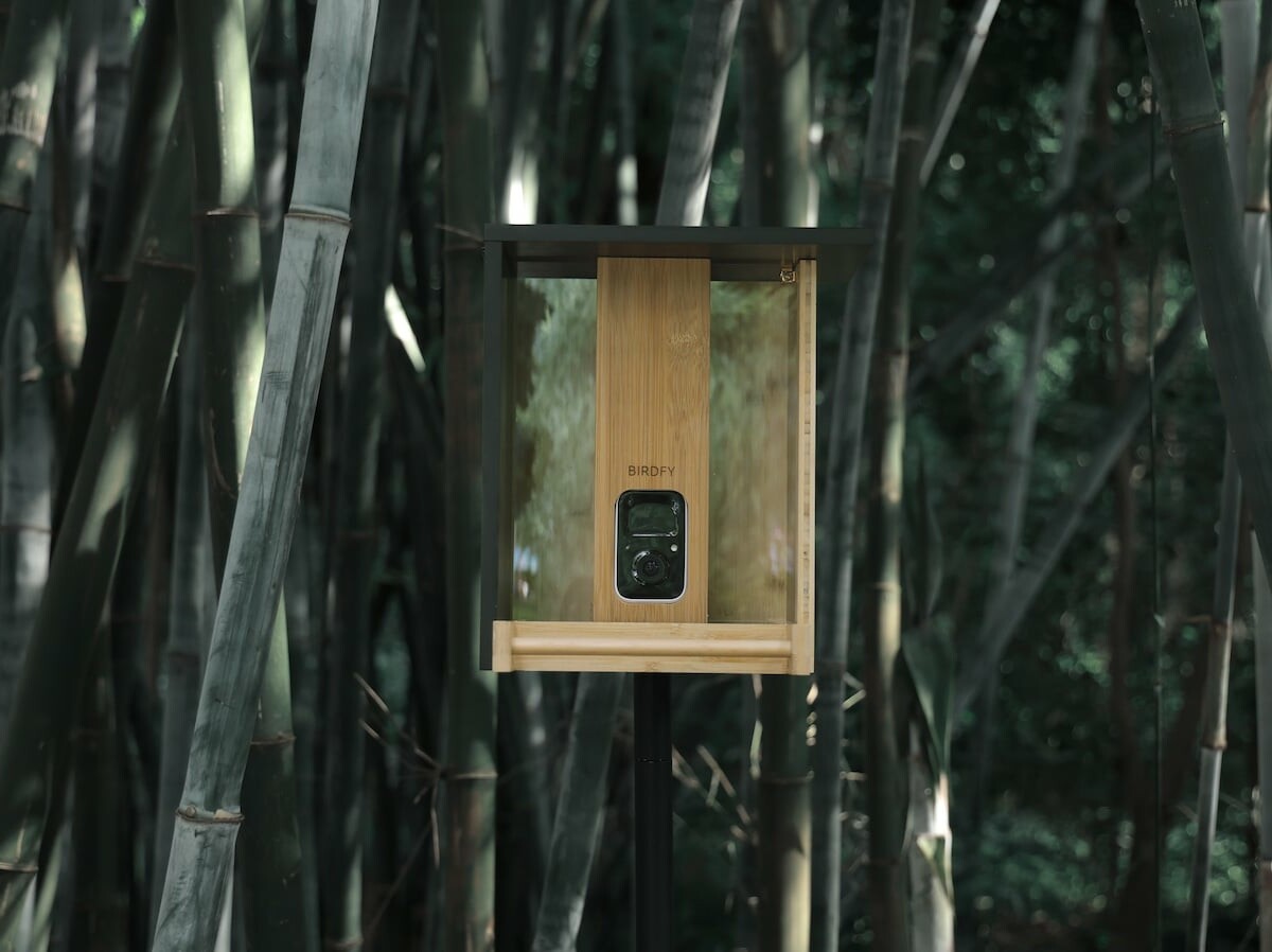 Netvue Birdfy: AI eco-friendly bamboo Bird Feeder by Birdfy on Gadget Flow