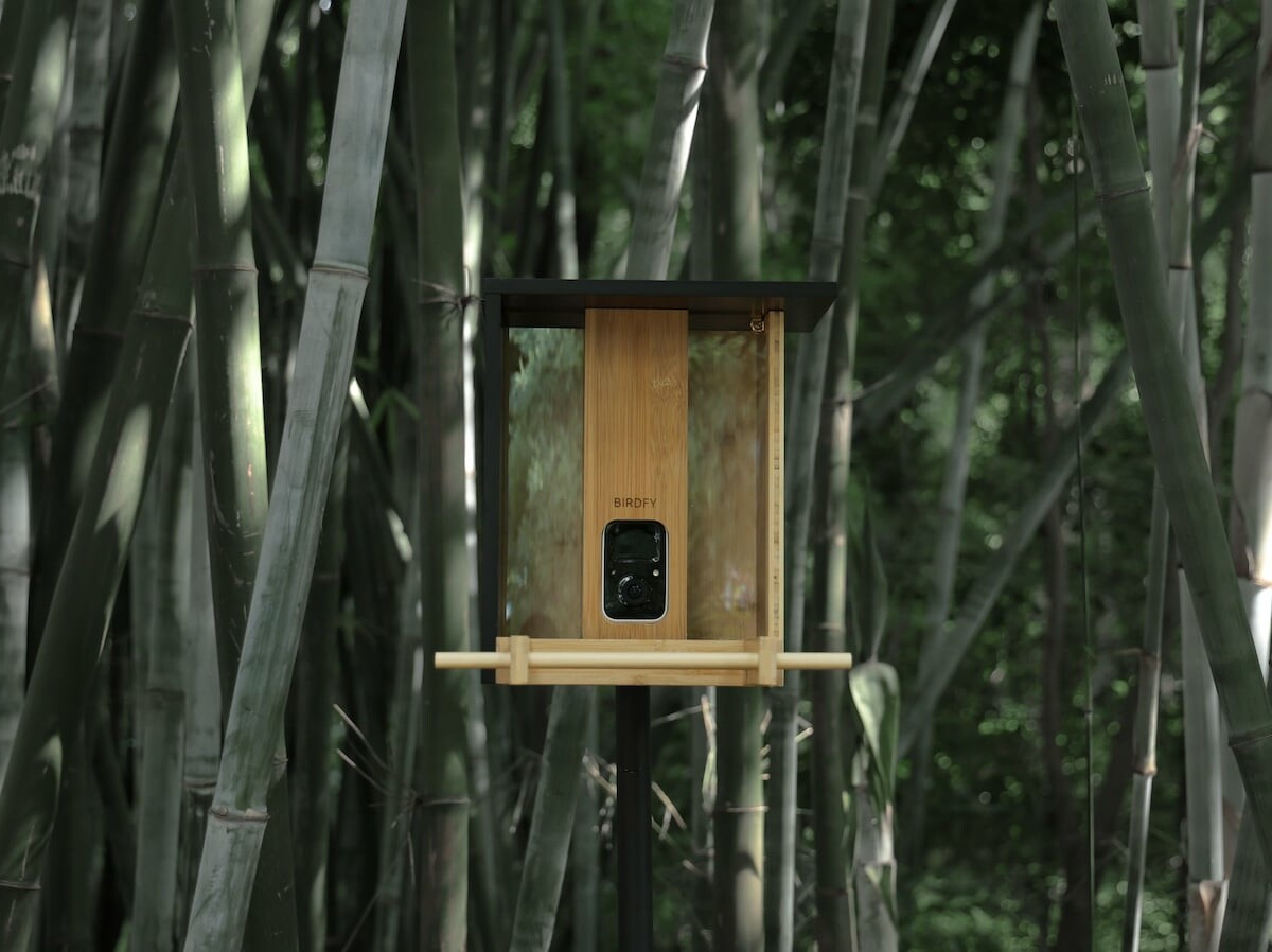 Netvue Birdfy: AI eco-friendly bamboo Bird Feeder by Birdfy on Gadget Flow